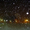 2010 01 KGD 01